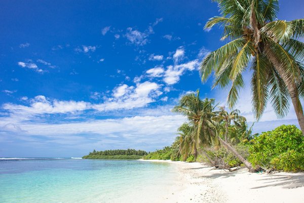 Le rôle de la location de maisons historiques qui contribuent à la préservation du patrimoine