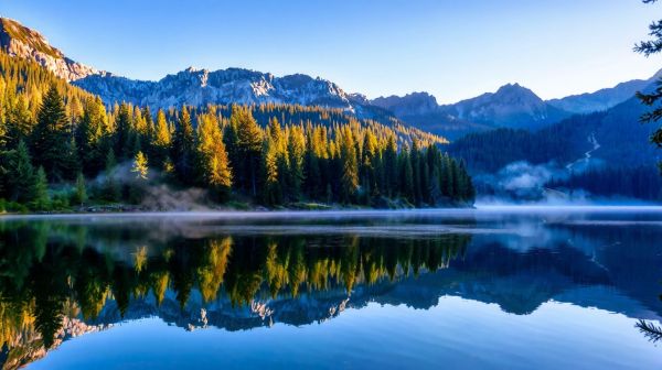 Camping savoie : l'eden de la vanoise, un havre d'aventures !